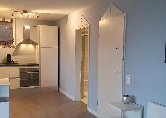 Apartamento Am Bodensee Mit Seesicht Und Terrasse Rorschacherberg